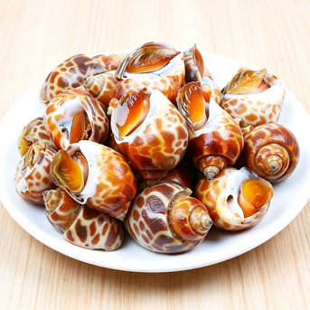Exotic Sea Snails: A Gourmet Delight for Every Occasion