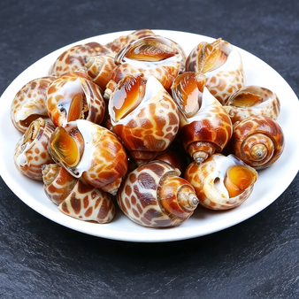 Exotic Sea Snails: A Gourmet Delight for Every Occasion