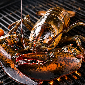 Royal Maine Lobster: A Gourmet Delight for Every Occasion